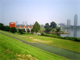 20060806.jpg
