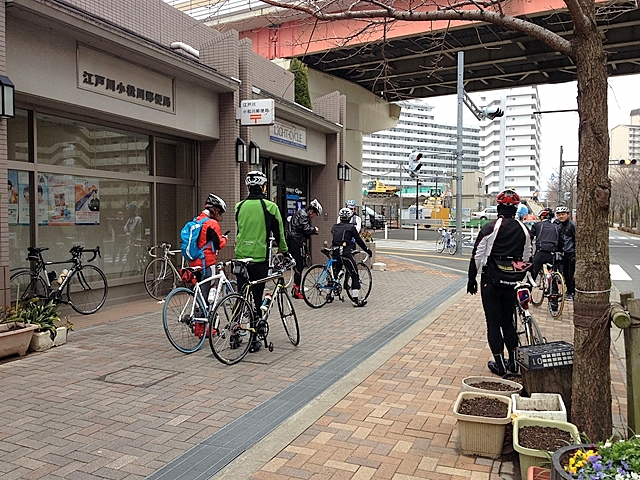 ライトサイクル