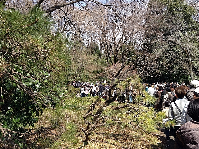 野川源流を見る行列