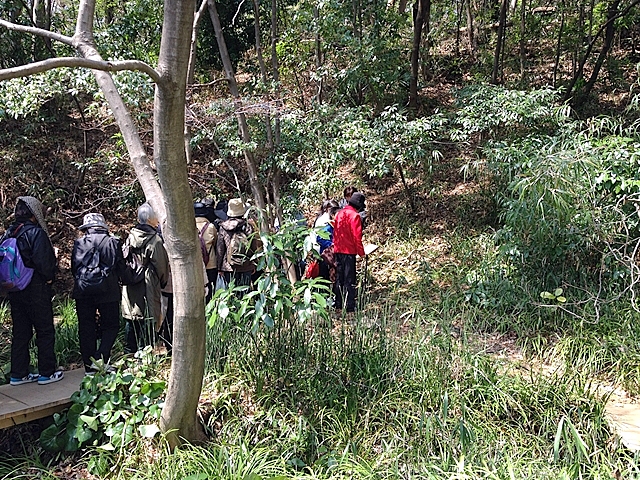 国分寺崖線の湧水