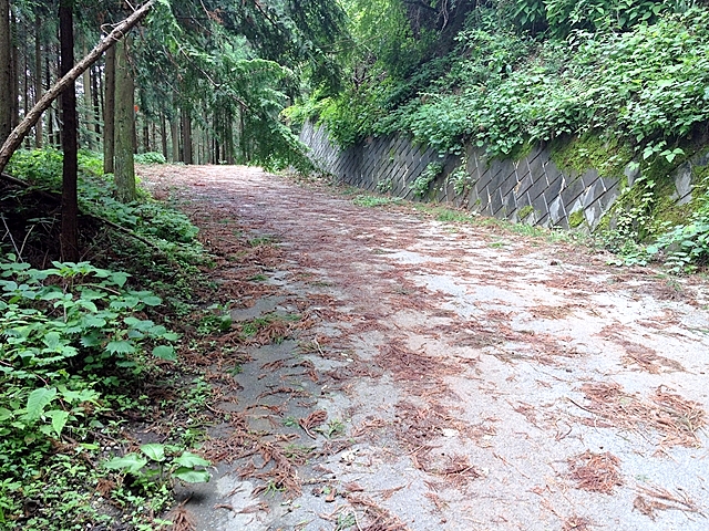 台風後のグリーンラインの路面