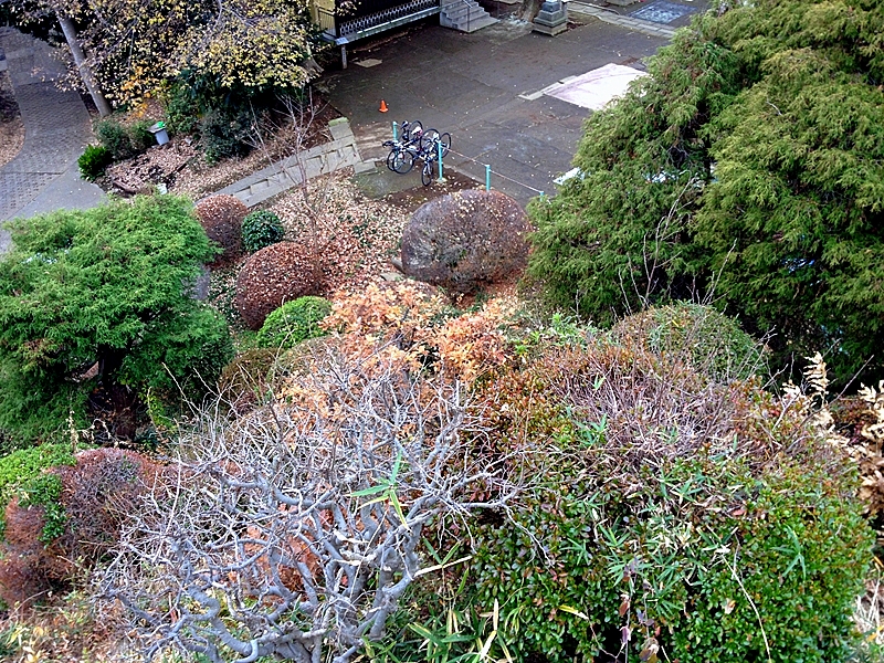 中里富士の頂上から